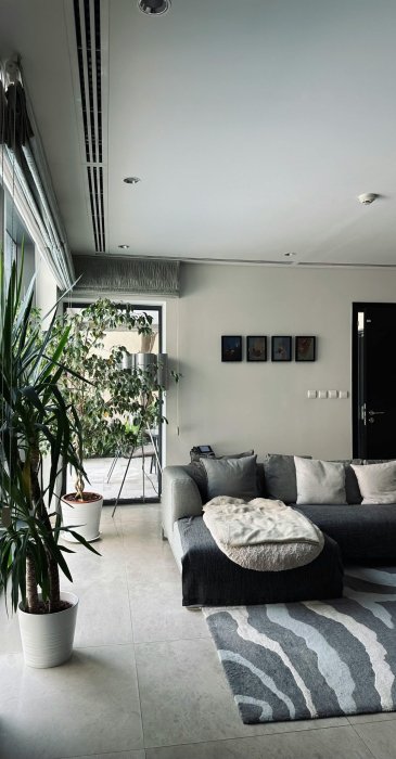 Best Real Estate Consultants in Chandigarh & Tricity